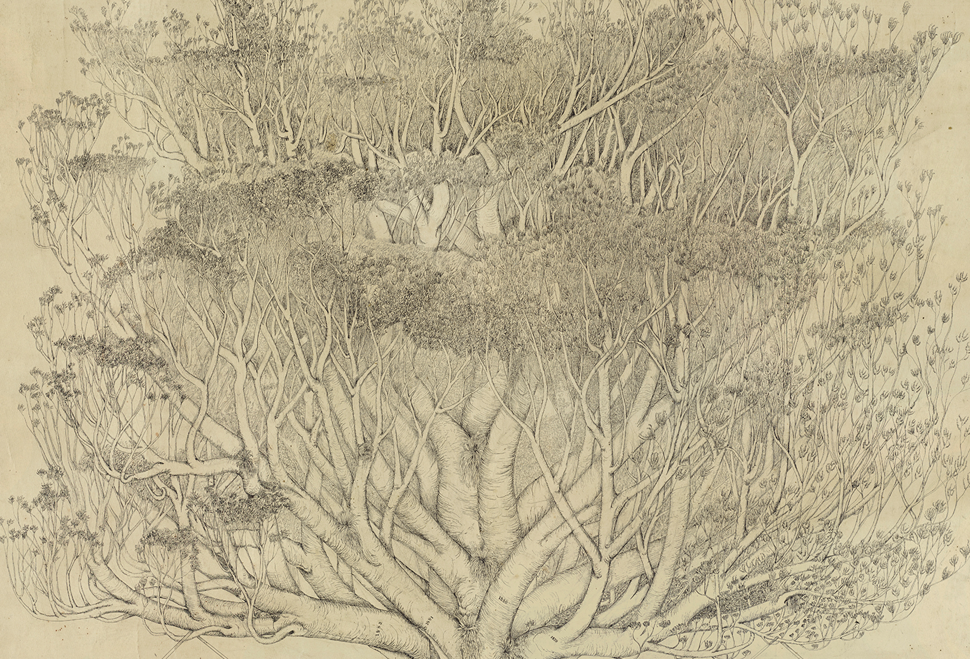 Untitled-1